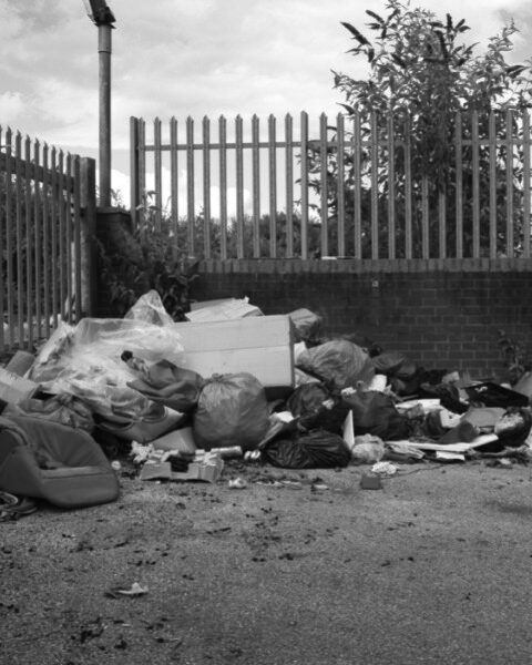 Cleaning & Environmental Services