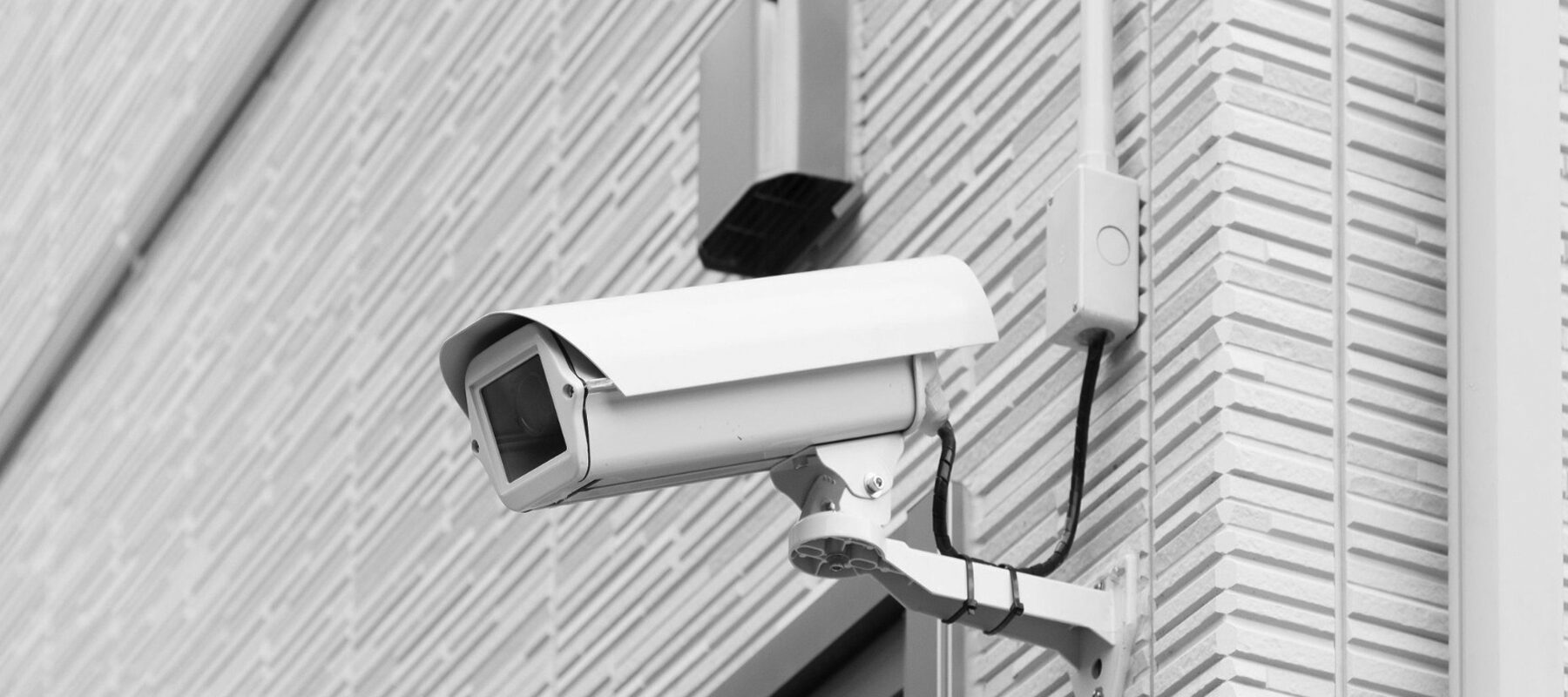 property & site security services in beckenham